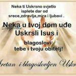 WhatsApp Image 2020-04-12 at 10.07.49